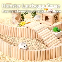  5 هامستر للبيع