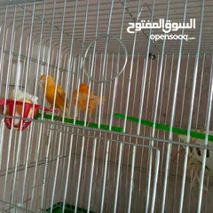  8 كوم كنار للبيع