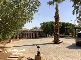  3 مزرعة في البحر الميت/ الشونه الجنوبية / السويمه / حوض جلد مميزة للبيع للجادين فقط