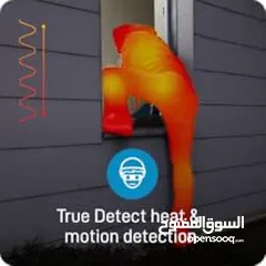  17 سوان نظام كاميرت nvr 8 mega