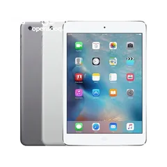  1 iPad Mini 2