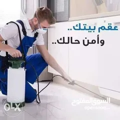 2 مكافحة جميع انواع الحشرات والفئران والجرذان والبق وسوس الخشب وحشرة الرطوبه والنحل والدبابير والافاعي