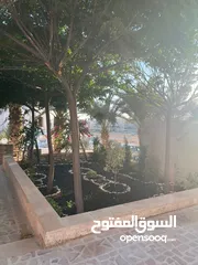  33 فيلا للبيع