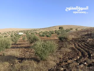  5 مزرعة وبيت