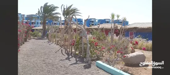  17 العيد عنا غير تمتع  بالإجازة العيد على شواطى إيله ..شقق على البحر مباشره او في منطقه الجولف خصم خاص
