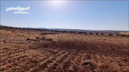  6 ارض استثمارية مميزة/ مزرعة تميرة للبيع بسعر مناسب جدا من المالك مباشرة/تم بيع قطعتين و باقي قطعتين