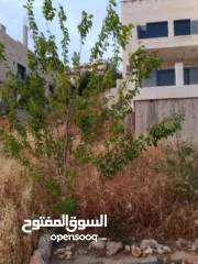  6 منزل للبيع في بتير