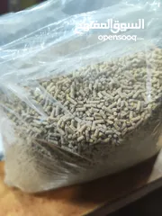  2 علف مركز بالتمر