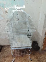  3 قفص لجميع الببغاء