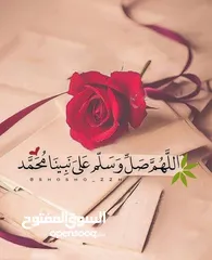  2 مدرسة وروضة خاصة للبيع في جبل النصر