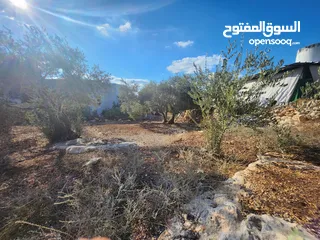  4 وعرة الشايب/عتيل