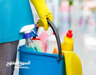  4 شركة الايادي الذهبيه لخدمات التنظيف المتكامله  ( اليومي الاسبوعي الشهري) .
