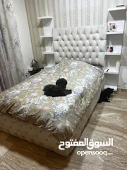  4 غرفة نوم مفرد ونص