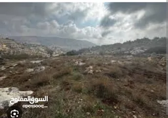  1 أرض لها إطلالة ساحرة .كاشفة الطيبة