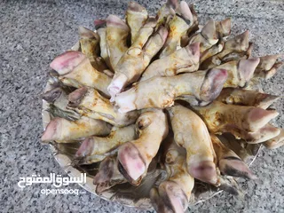  5 كرشات وفوارغ على كيف كيفك