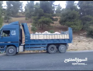  5 قلاب سنجل و دنبر رمل