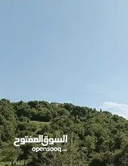  1 أرض مميزة للبيع في بدر الجديدة حوض الميسر من المالك مباشرة