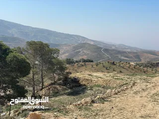  16 ارض للبيع / الصبيحي 18 دونم تقع على شارع رئيسي ‏بإطلالة مميزة وجميلة ويوجد بجانبها مطعم