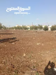  1 ارض للبيع بسعر مناسب جداً