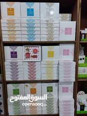  6 شركة مكياجي الشوحة