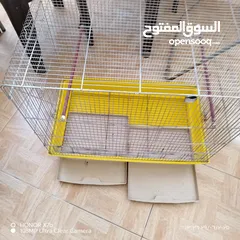  7 مطير 7معالف سوري كما هوا مكتوب عليها للبيع الزرقاء الجديده البتراوي بقرب من فندق الجوابره او دوار جي