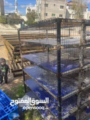  5 صندوق جاج خمس طوابق طول 160 وعرض 160 وعمق 134 صندوق تفصيل وحديد ثقيل يعني متعوب عليه لصندوق