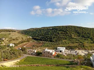  6 بيت العز والكرم