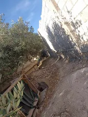  9 بيت مستقل مع ارض دنم   للبيع
