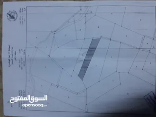  20 ارض زراعيه بسعر مغري