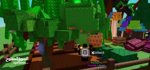  3 حسب بلوكس بمقبل  روبوكس
