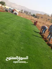  9 نجيل طبيعي وصناعي