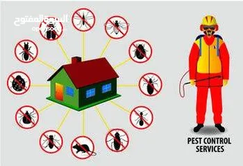 16 خدمات مكافحة الحشرات و الآفات