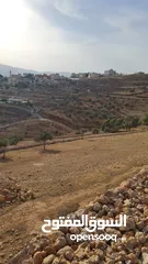  2 ارض زراعية على حدود التنظيم, مسافة قريبة من مدينة جرش و 27 دقيقة من عمان . واصل كهرباء و مياه