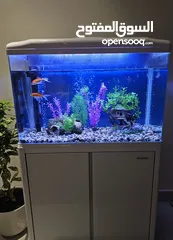  2 للبيع حوض أسماك زينة استخدم بسيط و بحالة ممتازة مع جميع الملحقات و المستلزمات