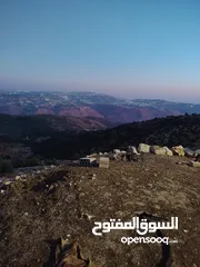  28 ارض للبيع مساحة4300م وعلى الواقع 12دونم تصلح بيت ريفي شاليه ارض زراعيه ويوجد فيها بيت قيد الانشاء