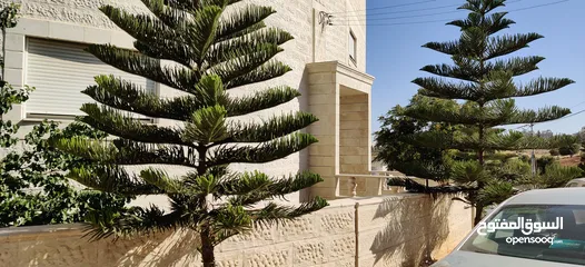  18 شقق بإطلالات مميزة وأسعار مغرية جدا حي الشهيد الجنوبي من المالك مباشرة