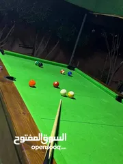  12 مزرعة وشاليه الباشا
