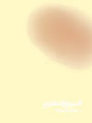  3 علاء تكروري