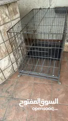  4 Large pets crate perfect for big and small animals indoor or outdoor use.  قفص حيوانات كبير