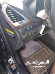  5 سانتفيه فل الفل فحص ألف  كاش بسعر مغري او دفعه وشكات