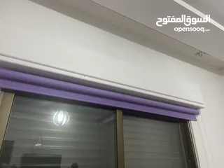  3 برداي زيبرا بنفسجية