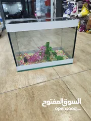  12 حوض سمك مجهز عبي مي و حط سمكاتك ، الطول 32 سم ارتفاع 23 سم عمق 21 سم