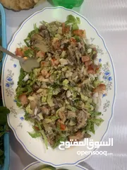  3 فسيح ورنجة مصري