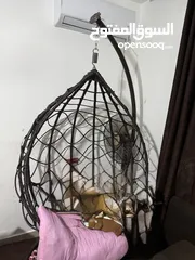  1 الحجم الكبير  استعمال خفيف للبيع