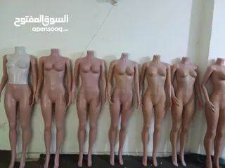  3 مليكان عرض