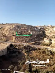  1 ارض للبيع وبسعر مناسب