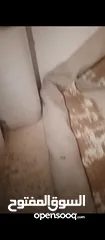  2 موكيت مع لباد استعمال بسيط للبيع