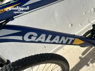  5 بسكليت كلانت وارد امريكا جنط 29جبلي