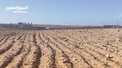  3 ارض للبيع في الموقر لبناء شاليهات أو مزرعة ريفية أو للسكن