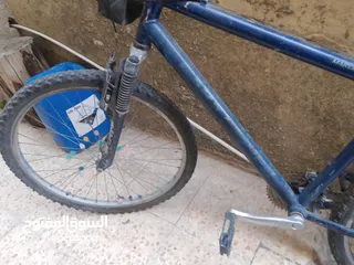  3 بسكليت للبيع